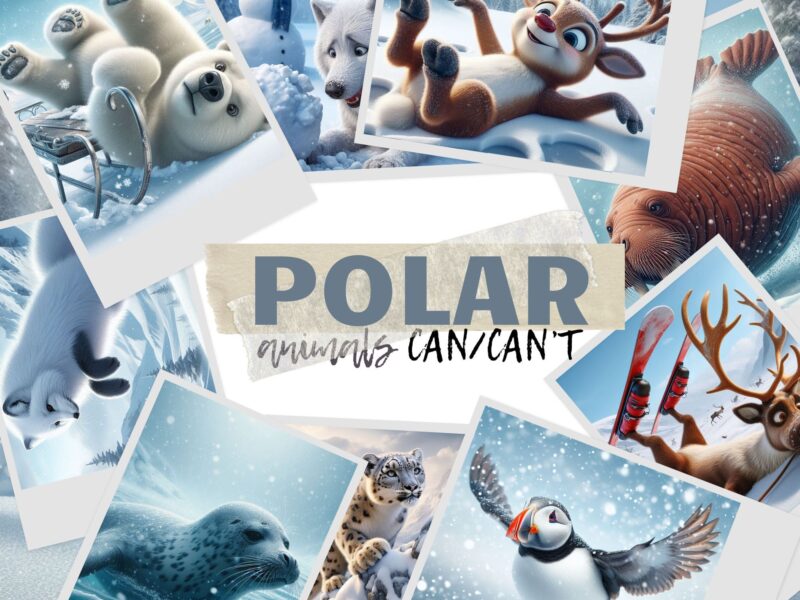 Polar Animals- CAN/ CAN'T