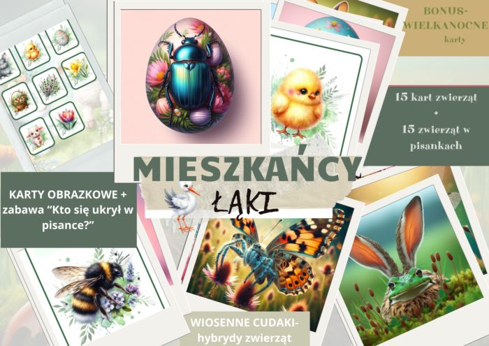 MIESZKAŃCY ŁĄKI- karty obrazkowe