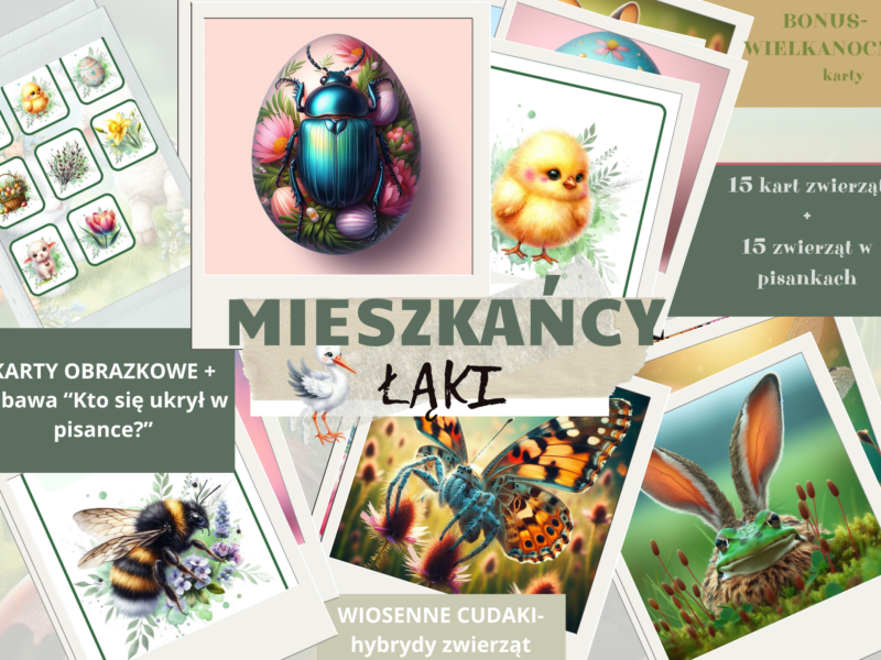 MIESZKAŃCY ŁĄKI- karty obrazkowe