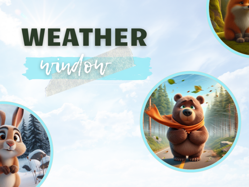 Weather window- zabawa na (nie)pogodę