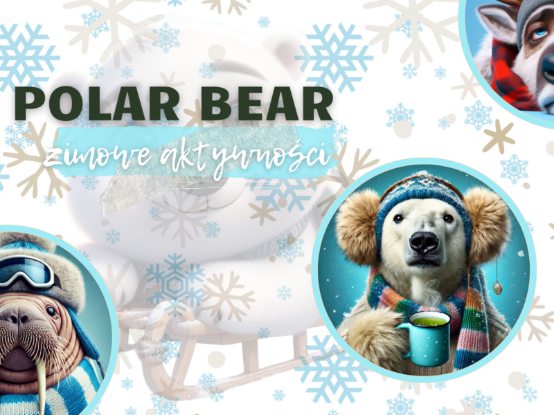 Polar bear- zimowe aktywności i emocje